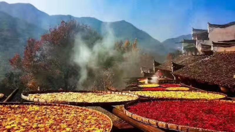 Xishan Wutong Qinyuan Huang Shan Exterior foto