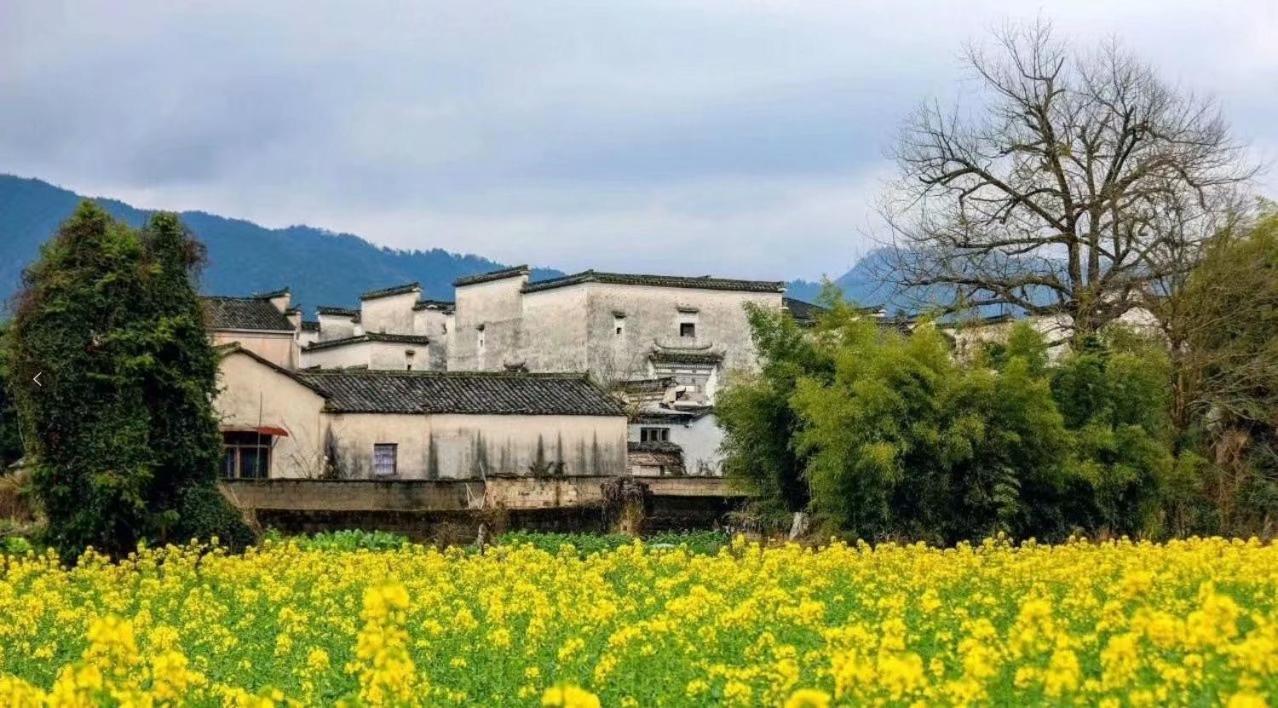 Xishan Wutong Qinyuan Huang Shan Exterior foto